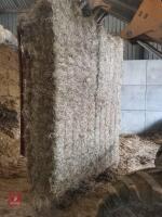 35 SQUARE BALES OF 2025 HAY - BIDS PER BALE - 5