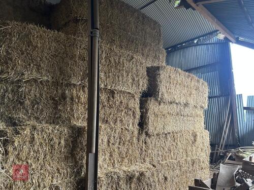 60 120CM X 70CM BALES OF 2025 WHEAT STRAW - BIDS PER BALE