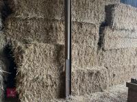 60 120CM X 70CM BALES OF 2025 WHEAT STRAW - BIDS PER BALE - 2