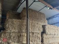 60 120CM X 70CM BALES OF 2025 WHEAT STRAW - BIDS PER BALE - 3