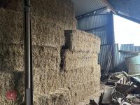 60 120CM X 70CM BALES OF 2025 WHEAT STRAW - BIDS PER BALE - 4