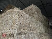 60 120CM X 70CM BALES OF 2025 WHEAT STRAW - BIDS PER BALE - 5