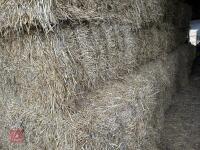 60 120CM X 70CM BALES OF 2025 WHEAT STRAW - BIDS PER BALE - 6