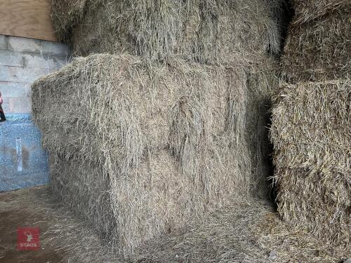 46 80CM X 80CM BALES OF 2025 MEADOW HAY - BIDS PER BALE