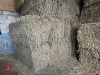 46 80CM X 80CM BALES OF 2025 MEADOW HAY - BIDS PER BALE