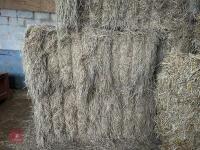 46 80CM X 80CM BALES OF 2025 MEADOW HAY - BIDS PER BALE - 2