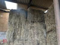 46 80CM X 80CM BALES OF 2025 MEADOW HAY - BIDS PER BALE - 3