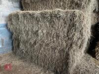 46 80CM X 80CM BALES OF 2025 MEADOW HAY - BIDS PER BALE - 4