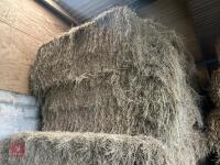 46 80CM X 80CM BALES OF 2025 MEADOW HAY - BIDS PER BALE - 5