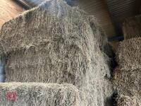 46 80CM X 80CM BALES OF 2025 MEADOW HAY - BIDS PER BALE - 6