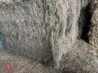 46 80CM X 80CM BALES OF 2025 MEADOW HAY - BIDS PER BALE - 7
