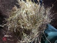 46 80CM X 80CM BALES OF 2025 MEADOW HAY - BIDS PER BALE - 9