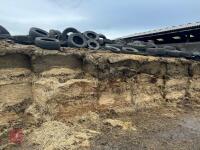 100 TONNES OF 2025 CLAMP SILAGE - BIDS PER TONNE - 2