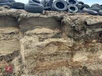 100 TONNES OF 2025 CLAMP SILAGE - BIDS PER TONNE - 3