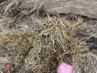100 TONNES OF 2025 CLAMP SILAGE - BIDS PER TONNE - 5