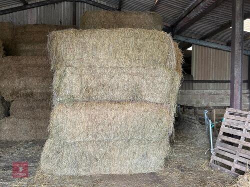 18 80'' X 60'' BALES OF 2024 MEADOW HAY - BIDS PER BALE