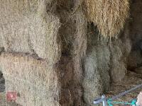 18 80'' X 60'' BALES OF 2024 MEADOW HAY - BIDS PER BALE - 2