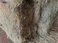 18 80'' X 60'' BALES OF 2024 MEADOW HAY - BIDS PER BALE - 3