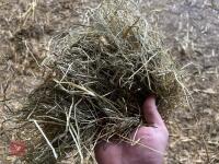 18 80'' X 60'' BALES OF 2024 MEADOW HAY - BIDS PER BALE - 4