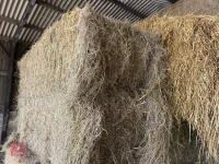 18 80'' X 60'' BALES OF 2024 MEADOW HAY - BIDS PER BALE - 6