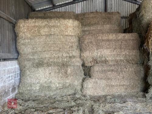 16 90'' X 60'' BALES OF 2024 MEADOW HAY - BIDS PER BALE
