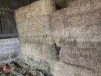 16 90'' X 60'' BALES OF 2024 MEADOW HAY - BIDS PER BALE - 2