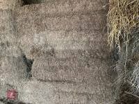 16 90'' X 60'' BALES OF 2024 MEADOW HAY - BIDS PER BALE - 3