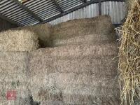 16 90'' X 60'' BALES OF 2024 MEADOW HAY - BIDS PER BALE - 4