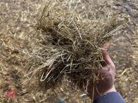 16 90'' X 60'' BALES OF 2024 MEADOW HAY - BIDS PER BALE - 5