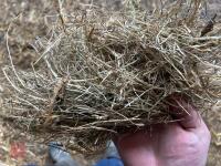 16 90'' X 60'' BALES OF 2024 MEADOW HAY - BIDS PER BALE - 6