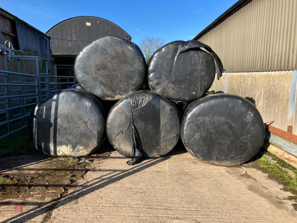 23 WRAPPED ROUND BALES OF 2024 HAYLAGE - BIDS PER BALE