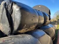 23 WRAPPED ROUND BALES OF 2024 HAYLAGE - BIDS PER BALE - 3