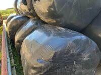 23 WRAPPED ROUND BALES OF 2024 HAYLAGE - BIDS PER BALE - 8