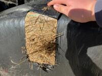 23 WRAPPED ROUND BALES OF 2024 HAYLAGE - BIDS PER BALE - 10