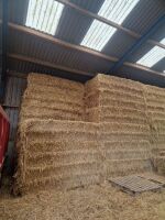 50 SQUARE BALES OF WINTER BARLEY STRAW - BIDS PER BALE