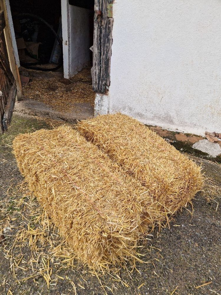 150 CONVENTIONAL BALES OF BARLEY STRAW - BIDS FOR THE GROUP