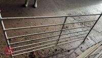4 GALV 6' SHEEP HURDLES - 5