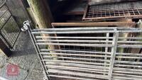 4 GALV 6' SHEEP HURDLES - 6