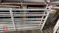 4 GALV 6' SHEEP HURDLES - 7