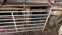 4 GALV 6' SHEEP HURDLES - 11