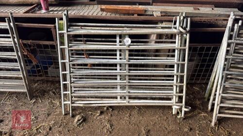 5 GALV 4' SHEEP HURDLES
