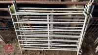 5 GALV 4' SHEEP HURDLES - 9