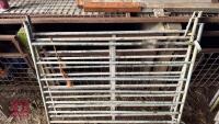 5 GALV 4' SHEEP HURDLES - 10