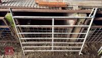 5 GALV 4' SHEEP HURDLES - 12