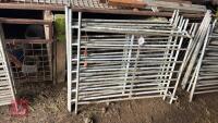 5 GALV 4' SHEEP HURDLES - 15
