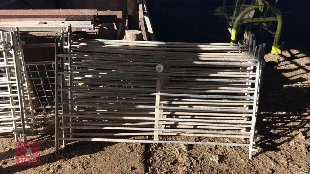 8 GALV 6' SHEEP HURDLES