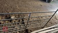 8 GALV 6' SHEEP HURDLES - 11