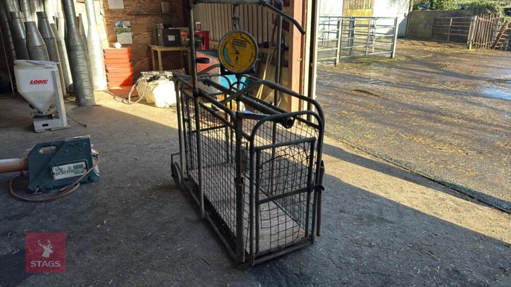 PIG/LAMB WEIGHER