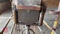 PIG/LAMB WEIGHER - 19