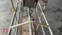 PIG/LAMB WEIGHER - 23